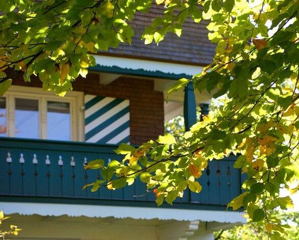 Green wooden balcony among maple leaves.
