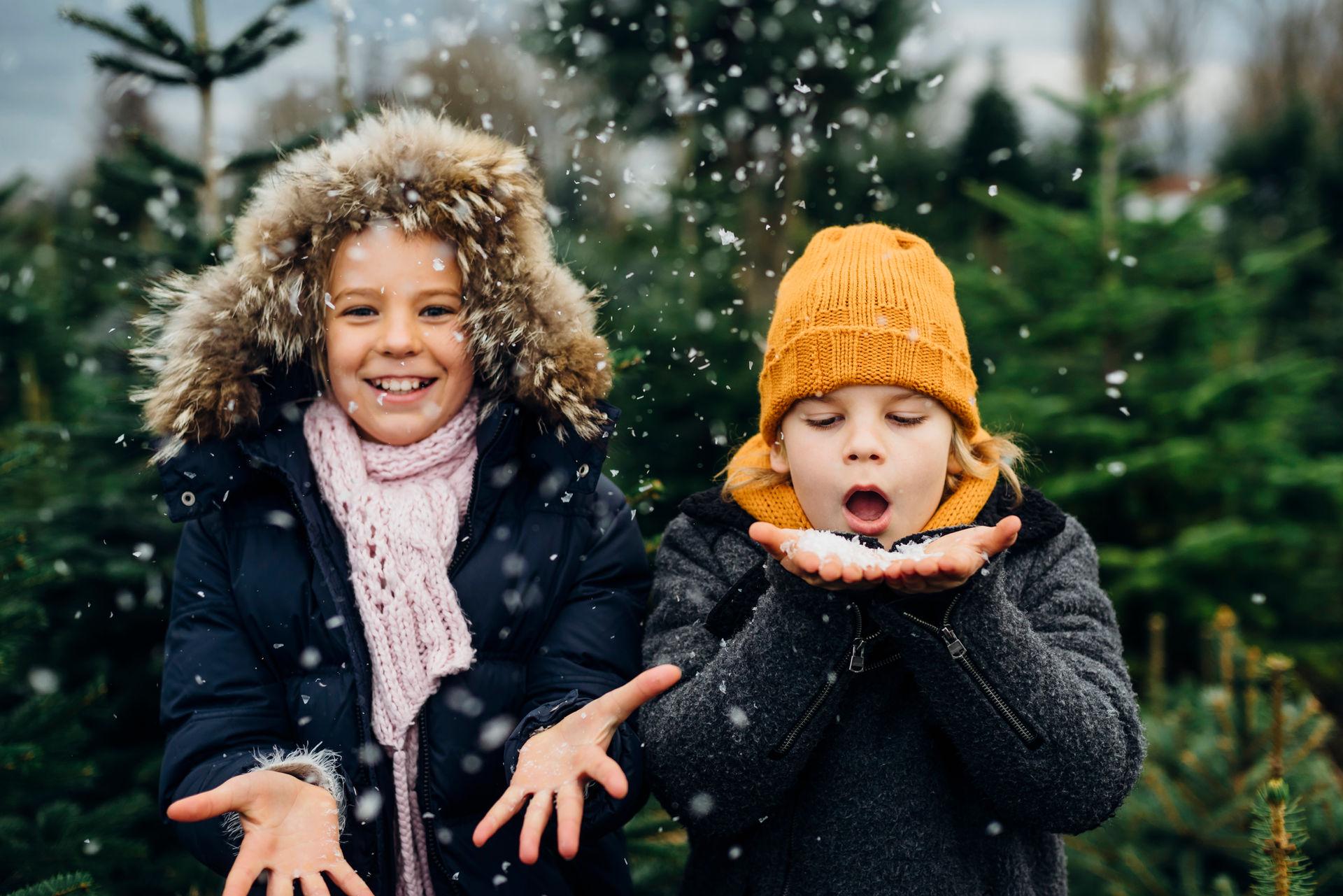 Children playing in the snow.